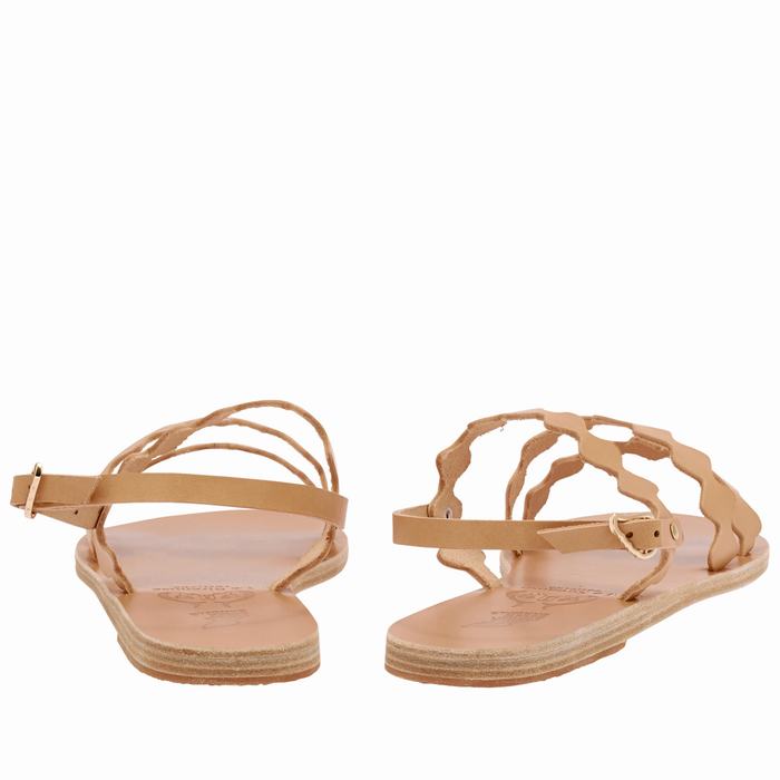 Ancient Greek Sandals Clio Onda Donna Sandali Con Cinturino Sul Retro Beige | YUN8272LI