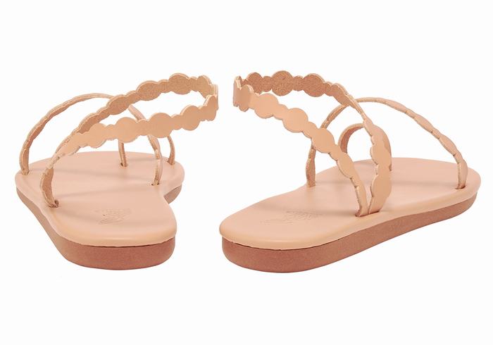 Ancient Greek Sandals Cronos Donna Sandali Con Puntale Beige | HRI8176UI