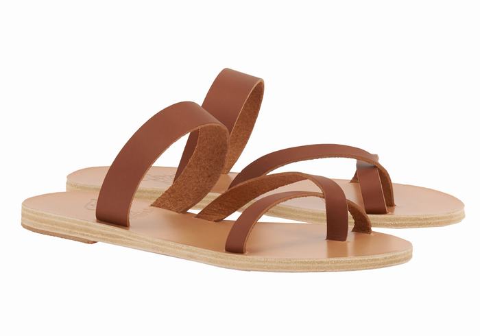 Ancient Greek Sandals Daphnae Leather Donna Sandali Scorrevoli Marroni Scuro | USN7436CB