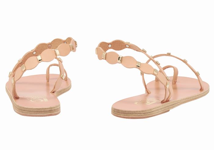 Ancient Greek Sandals Dauxerre Donna Sandali Con Puntale Beige Oro | FPI1941WK