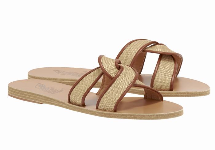 Ancient Greek Sandals Desmos Donna Sandali Scorrevoli Beige Marroni | LHK3678XF