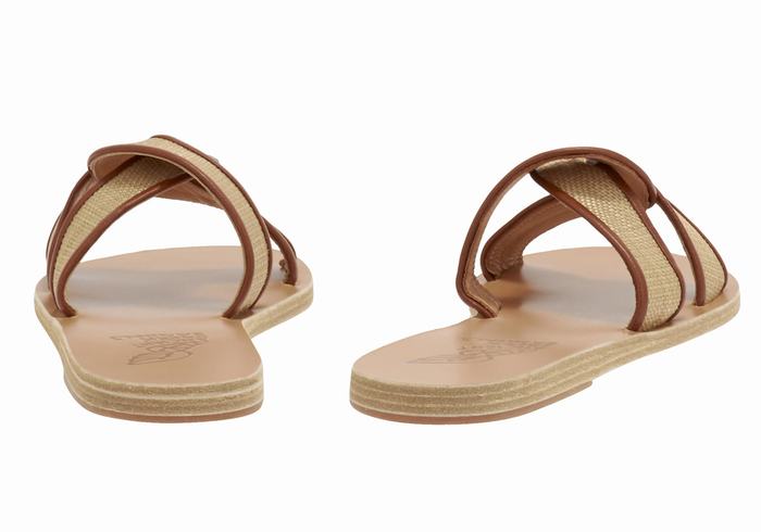 Ancient Greek Sandals Desmos Donna Sandali Scorrevoli Beige Marroni | LHK3678XF