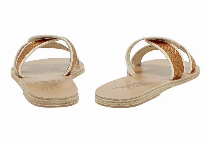 Ancient Greek Sandals Desmos Donna Sandali Scorrevoli Marroni Bianche | KSP21UH