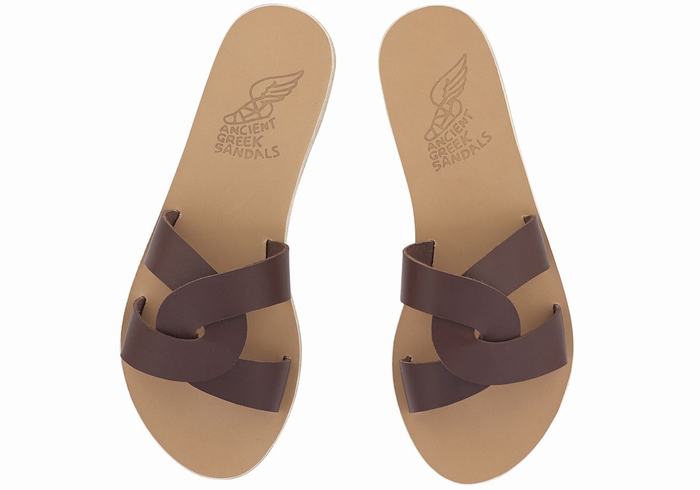 Ancient Greek Sandals Desmos Donna Sandali Scorrevoli Caffè | XHJ9154UN