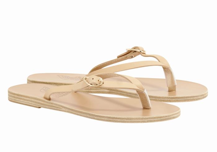 Ancient Greek Sandals Dihalo Leather Donna Infradito Beige | VAZ6099VM