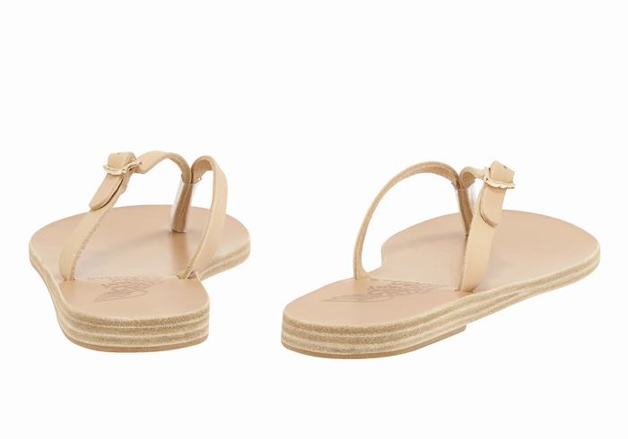 Ancient Greek Sandals Dihalo Leather Donna Infradito Beige | VAZ6099VM