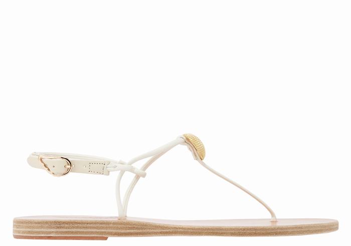 Ancient Greek Sandals Dimitra Flip Flop Donna Sandali Con Cinturino Sul Retro Bianche | LRE9217BX