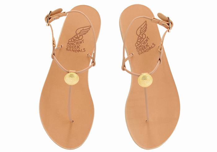 Ancient Greek Sandals Dimitra Flip Flop Donna Sandali Con Cinturino Sul Retro Beige | YKV7312SG