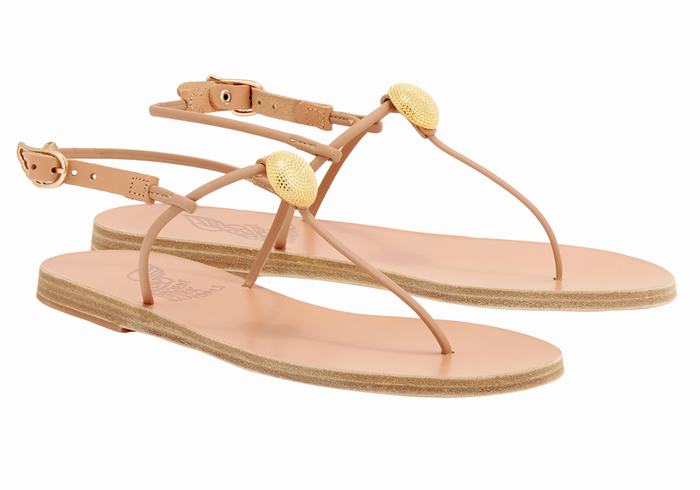 Ancient Greek Sandals Dimitra Flip Flop Donna Sandali Con Cinturino Sul Retro Beige | YKV7312SG