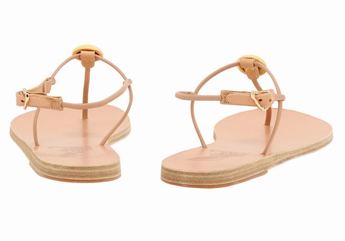 Ancient Greek Sandals Dimitra Flip Flop Donna Sandali Con Cinturino Sul Retro Beige | YKV7312SG