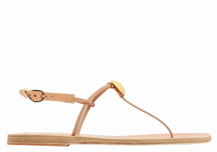 Ancient Greek Sandals Dimitra Flip Flop Donna Sandali Con Cinturino Sul Retro Beige | YKV7312SG