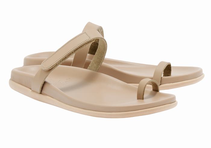 Ancient Greek Sandals Dokos Donna Sandali Con Puntale Grigie Marroni | KKL456KO