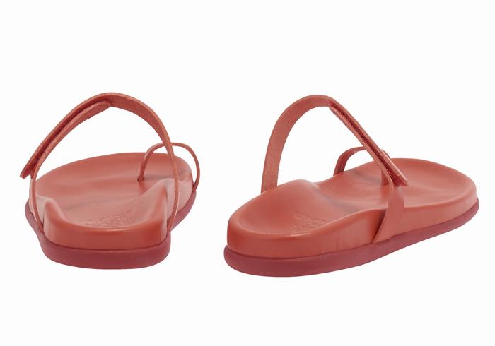 Ancient Greek Sandals Dokos Donna Sandali Con Puntale Rosse | LMD3094BV