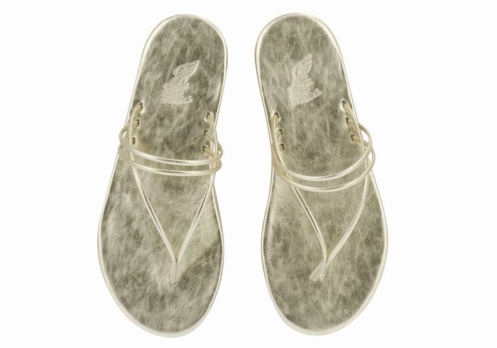 Ancient Greek Sandals E Donna Infradito Oro Bianche | IXF7130LI