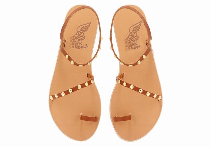 Ancient Greek Sandals Eleftheria Bee Donna Sandali Con Puntale Marroni Scuro | NCU352NQ