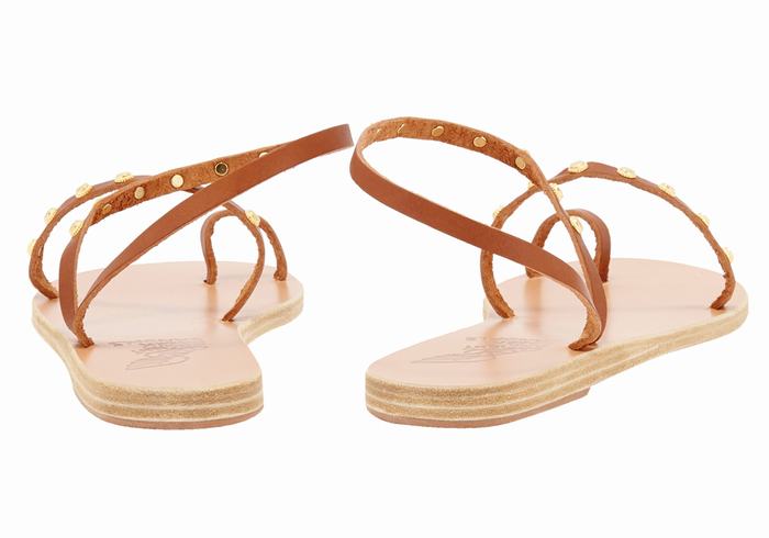 Ancient Greek Sandals Eleftheria Bee Donna Sandali Con Puntale Marroni Scuro | NCU352NQ