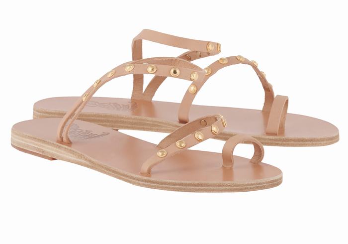 Ancient Greek Sandals Eleftheria Bee Donna Sandali Con Puntale Beige | TIQ2235KJ