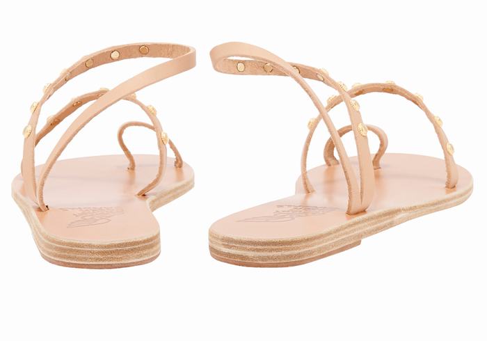 Ancient Greek Sandals Eleftheria Bee Donna Sandali Con Puntale Beige | TIQ2235KJ