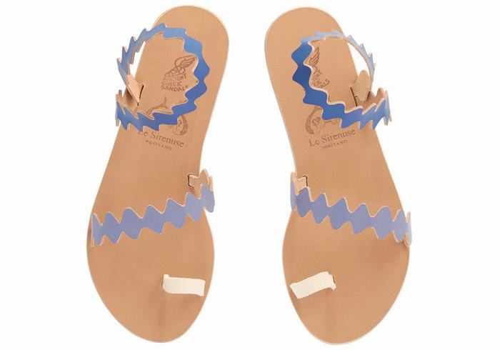 Ancient Greek Sandals Eleftheria Onda Leather Donna Sandali Con Puntale Blu Bianche | WFK6770VP