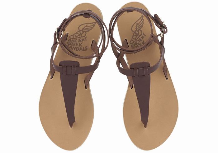 Ancient Greek Sandals Estia Leather Donna Sandali Con Cinturino Caffè | XAO6855JJ