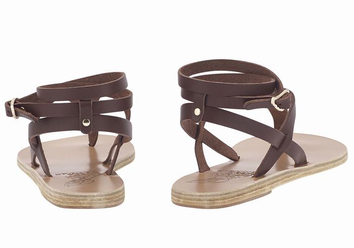 Ancient Greek Sandals Estia Leather Donna Sandali Con Cinturino Caffè | XAO6855JJ