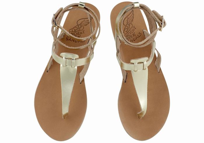 Ancient Greek Sandals Estia Leather Donna Sandali Con Cinturino Oro Bianche | QBA6488KW