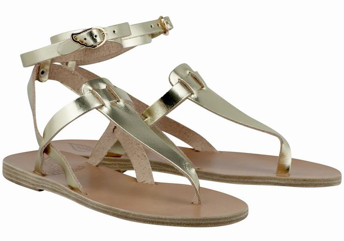 Ancient Greek Sandals Estia Leather Donna Sandali Con Cinturino Oro Bianche | QBA6488KW