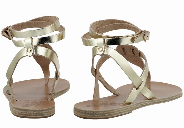 Ancient Greek Sandals Estia Leather Donna Sandali Con Cinturino Oro Bianche | QBA6488KW