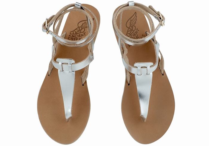 Ancient Greek Sandals Estia Leather Donna Sandali Con Cinturino Argento | GWI8344KE