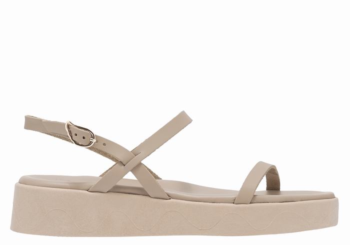 Ancient Greek Sandals Evriali Leather Donna Sandali con Plateau Grigie Marroni | YKL9476CN