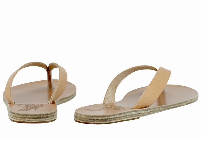 Ancient Greek Sandals Hera Leather Donna Infradito Beige | GSR1782OQ