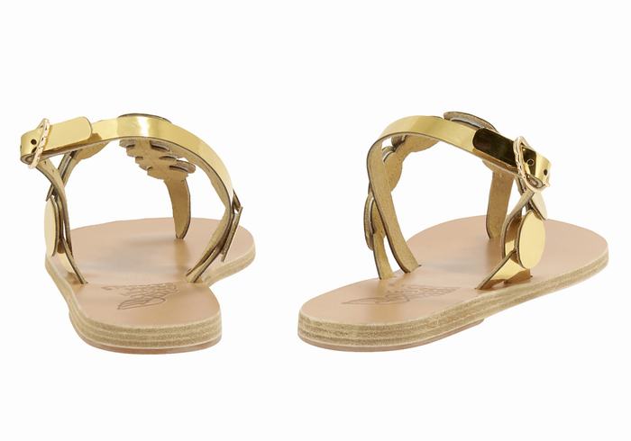 Ancient Greek Sandals Ilios Flip Flop Leather Donna Sandali Con Cinturino Sul Retro Oro | CXP5780CK