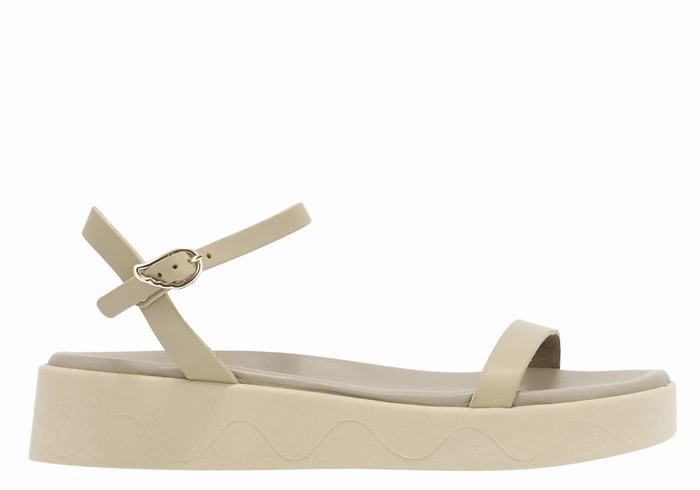 Ancient Greek Sandals Irida Leather Donna Sandali con Plateau Grigie Marroni | HCE509UQ