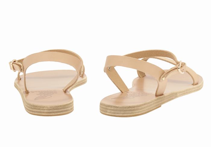 Ancient Greek Sandals Irida Leather Donna Sandali Con Cinturino Sul Retro Beige | OIR3531WY