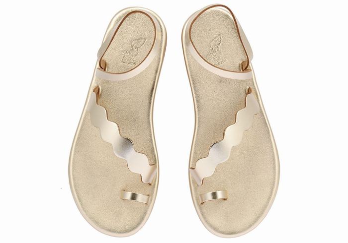 Ancient Greek Sandals Koralia Donna Sandali Con Puntale Oro Bianche | QDX91100DC