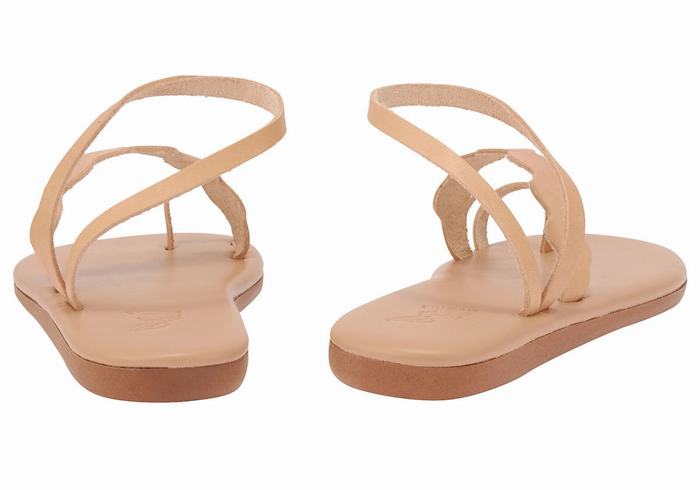 Ancient Greek Sandals Koralia Donna Sandali Con Puntale Beige | LDL984DS