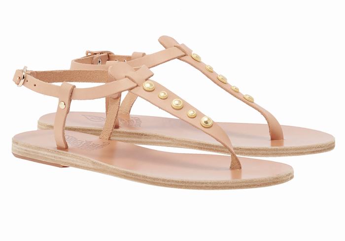 Ancient Greek Sandals Lito Bee Donna Sandali Con Cinturino Sul Retro Beige | BOR10042RO