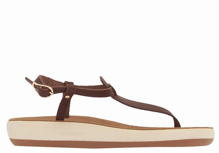 Ancient Greek Sandals Lito Comfort Donna Sandali Con Cinturino Sul Retro Caffè | BHN2278ED