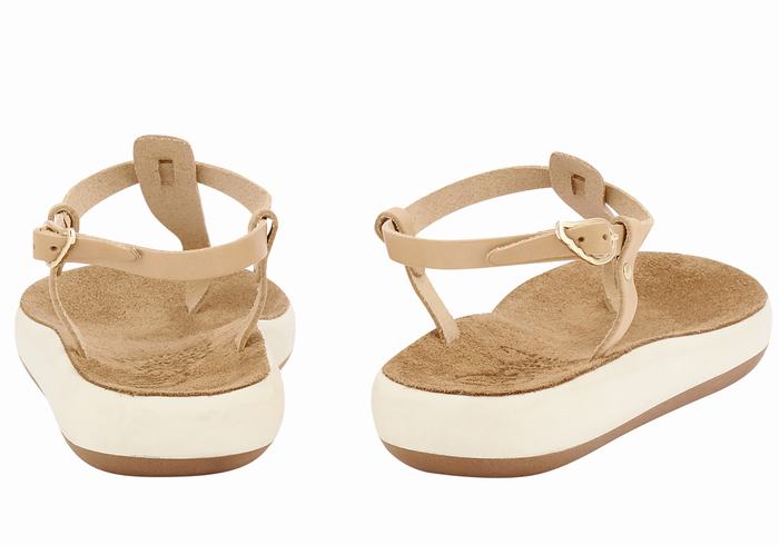 Ancient Greek Sandals Lito Comfort Donna Sandali Con Cinturino Sul Retro Beige | TXW7223YB