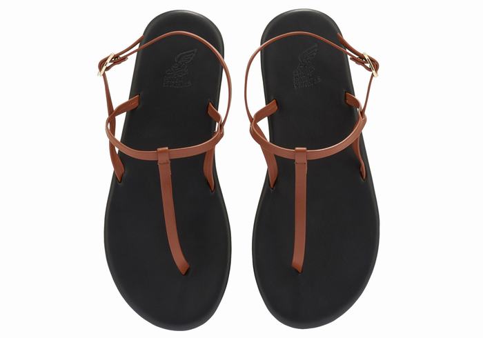 Ancient Greek Sandals Lito Flip Flop Donna Sandali Con Cinturino Sul Retro Marroni Scuro | KBV3359PL