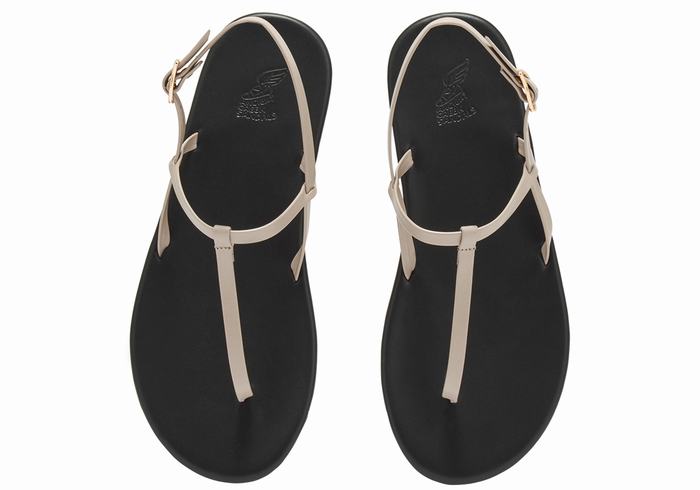 Ancient Greek Sandals Lito Flip Flop Donna Sandali Con Cinturino Sul Retro Grigie Marroni | KBF574KT