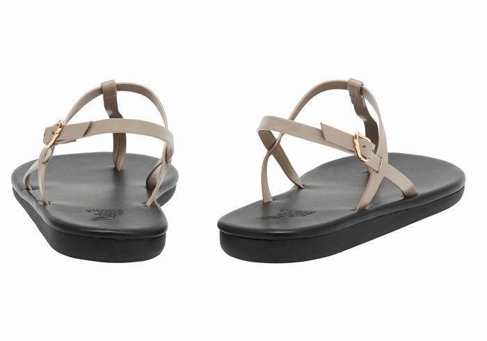 Ancient Greek Sandals Lito Flip Flop Donna Sandali Con Cinturino Sul Retro Grigie Marroni | KBF574KT