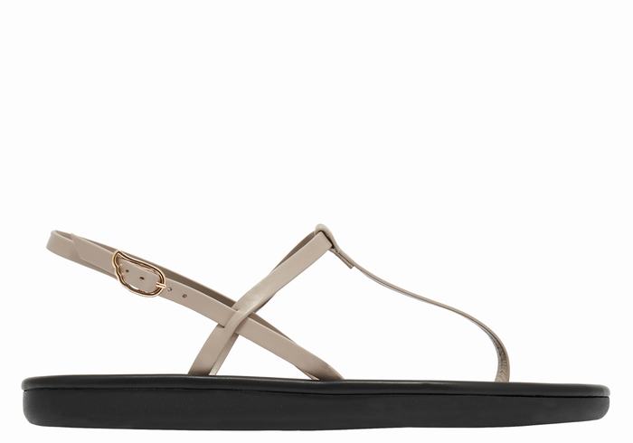 Ancient Greek Sandals Lito Flip Flop Donna Sandali Con Cinturino Sul Retro Grigie Marroni | KBF574KT