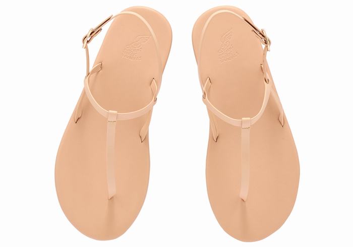 Ancient Greek Sandals Lito Flip Flop Donna Sandali Con Cinturino Sul Retro Beige | CFN2275UR