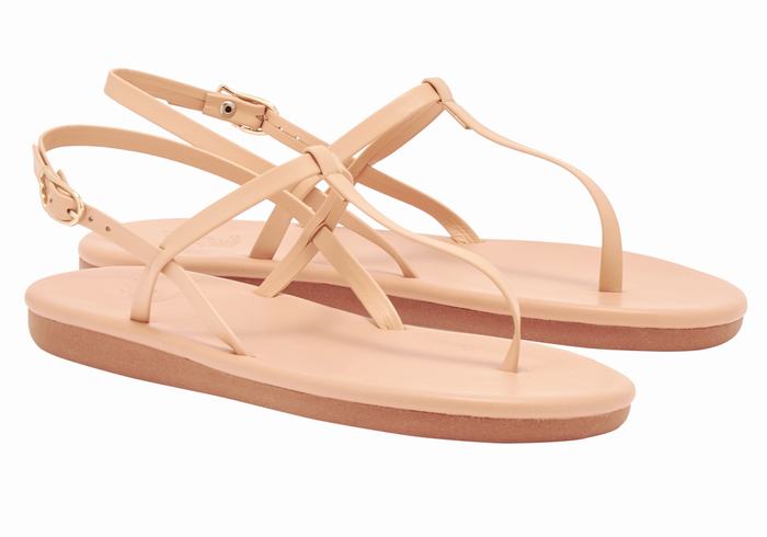 Ancient Greek Sandals Lito Flip Flop Donna Sandali Con Cinturino Sul Retro Beige | CFN2275UR