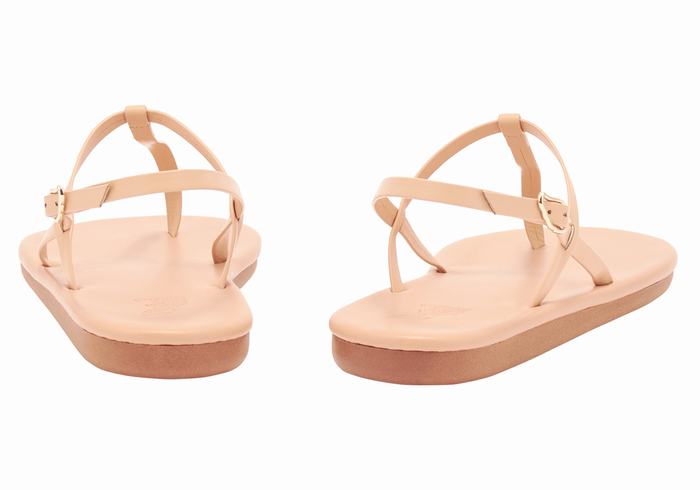 Ancient Greek Sandals Lito Flip Flop Donna Sandali Con Cinturino Sul Retro Beige | CFN2275UR