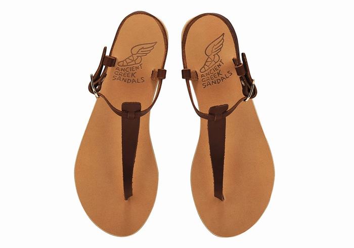 Ancient Greek Sandals Lito Flip Flop Leather Donna Sandali Con Cinturino Sul Retro Caffè | YTE42UX