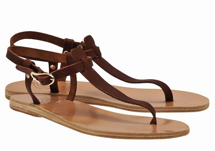 Ancient Greek Sandals Lito Flip Flop Leather Donna Sandali Con Cinturino Sul Retro Caffè | YTE42UX