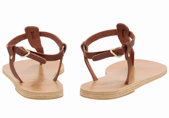 Ancient Greek Sandals Lito Flip Flop Leather Donna Sandali Con Cinturino Sul Retro Caffè | YTE42UX