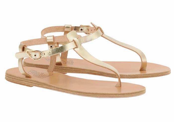 Ancient Greek Sandals Lito Flip Flop Leather Donna Sandali Con Cinturino Sul Retro Oro Bianche | ESH433KO